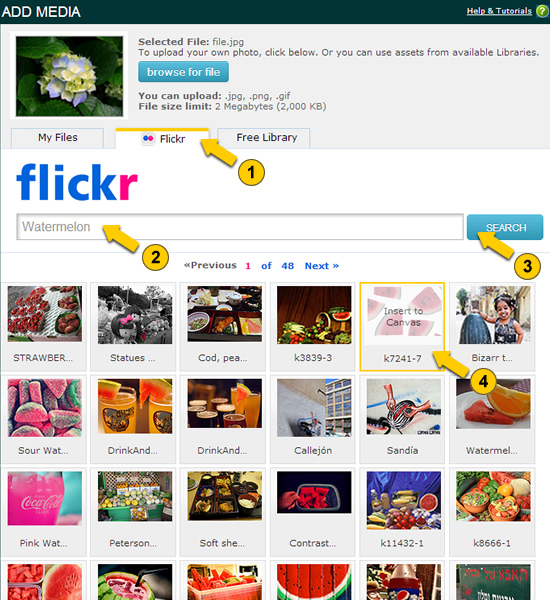 insert images from Flikr